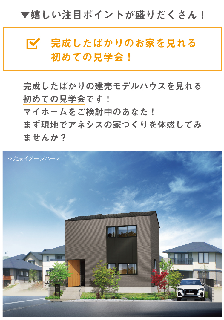 Grand Open 合志にて新デザイナーズハウスの完成見学会を開催します 熊本の新築一戸建て 建売 分譲地ならアネシス 公式